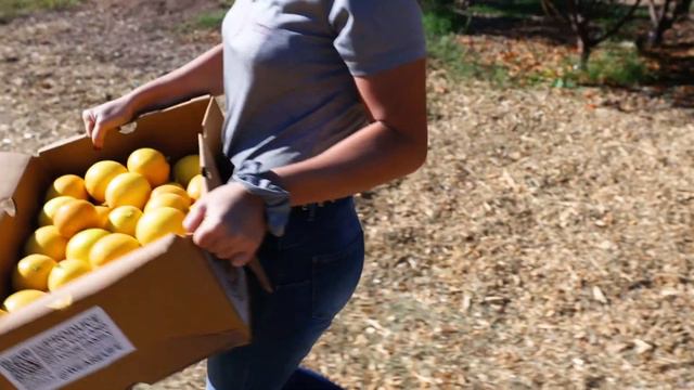 Agave Farms - How Urban Farming Benefits a Community