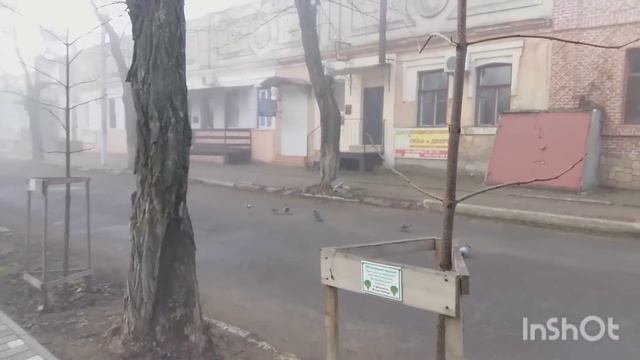 город Белгород -Днестровский смотреть онлайн