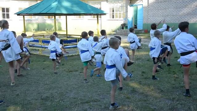 Мастер-класс для каратистов. Котовск, Тамбовская обл., КТВ-8 смотреть онлайн