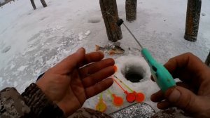 Камера, окунь, чёртик!