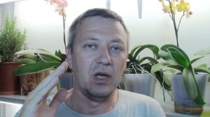 ОРХИДЕЯ в ДОМАШНИХ условиях, ДРОЖЖИ для орхидей, корни, грунт