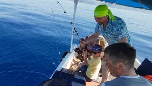 Рыбалка Средиземное море Алания Балон рыба