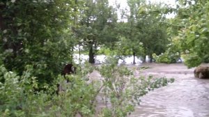 Потоп в с Новомарьевской