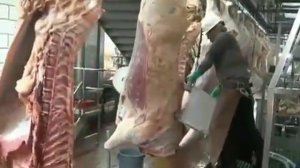 Пила для распилки туш ПРТ-1