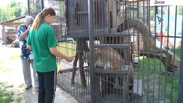 Барнаульский зоопарк приглашает на ночную экскурсию смотреть онлайн