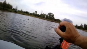 ЭЛЕКТРОМОТОР Watersnake 30  ПВХ лодка Фрегат 280 Рыбалка на лесных озёрах