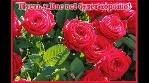 С ДНЁМ РОЖДЕНИЯ ГАЛИНА !