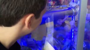 #ВЫИГРАЛИ КУЧУ #ДЕНЕГ!!! Реально работает! Автомат БАБЛОМЕТ!