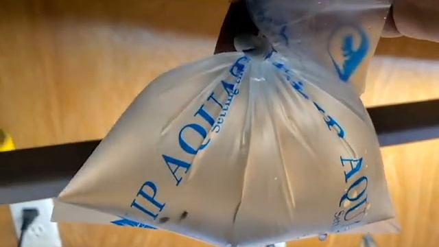 SHRIMP UNBOXING!! My first order from Flip Aquatics for 2021!! смотреть онлайн