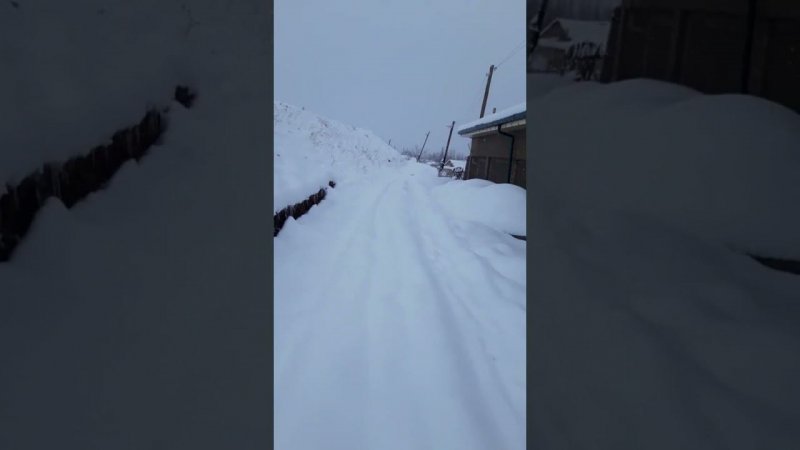 Зима в Узбекистане декабрь 2022 г