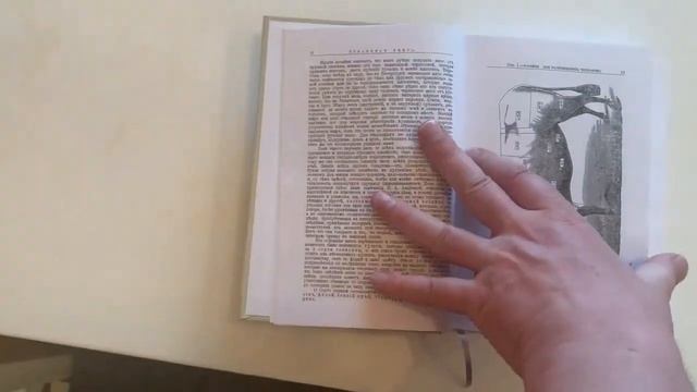 Поваренная книга смотреть онлайн