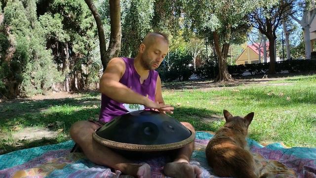 "Progression" con el #handpan en #Benimaclet #mantra #hang #fyp #foryou #mindfulness #meditation смотреть онлайн