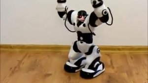 Робот Звёздный защитник на радиоуправлении 1Toy