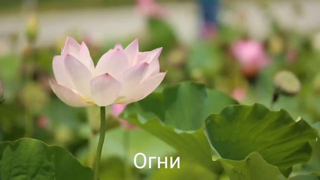 Марк Аноприев - Весна (на стихи Леши Sunrise) #песня #песня_текст #мояпесня