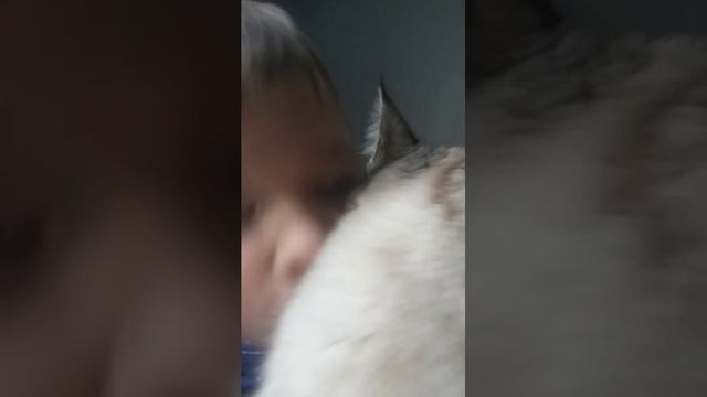 хееех