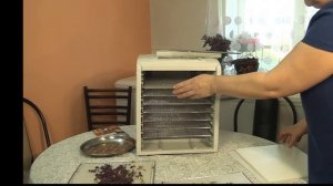 ДЕГИДРАТОР Сушит овощи фрукты яйца мясо рыбу, квасит молоко