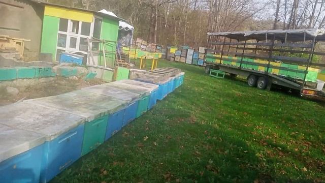 Проверяем индикаторы после обработок пчёл от воратоза смотреть онлайн