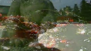 Волшебная мелодия - Бамбуковая флейта