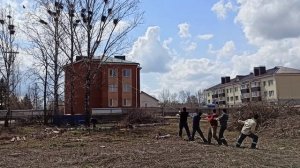 как правильно пилить деревья возле жилого дома!