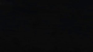 Жаль, подмога не пришла