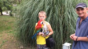 Обезьяна + Попугай