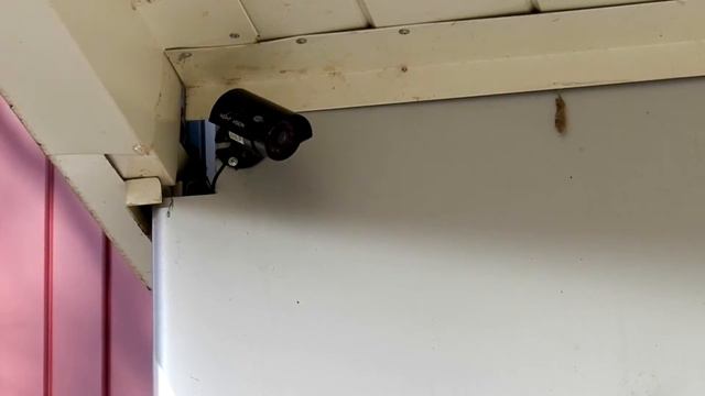 минифильм стандарт оформления смотреть онлайн