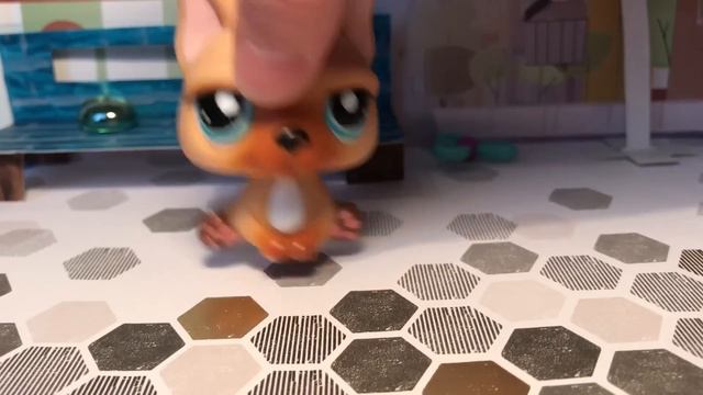 Lps /Моя коллекция Lps. Почему LPS , а не MLP?