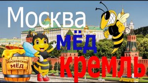 Улей на балконе. Пчелы в московской многоэтажке.mp4
