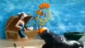 ТАНГО С МОРСКИМ ЛЬВОМ !!!