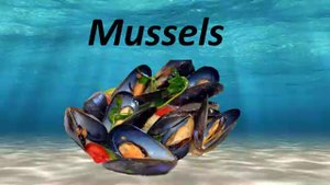 АНГЛИЙСКИЙ (Sea -Ocean- Animals)