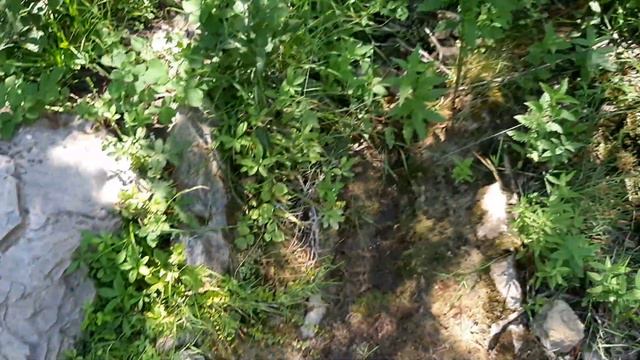 Болгария. Святой Влас. Река в ущелье возле храма Св. Атанасий. Камень для "Денежного колеса". смотреть онлайн