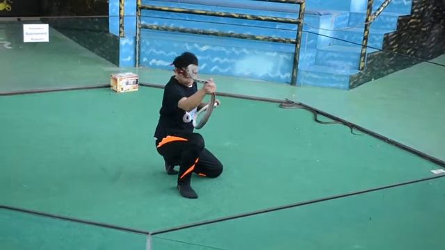 Укус змеи!!! смотреть онлайн