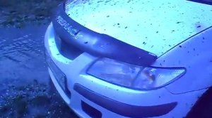 первый оффроад мазда премаси