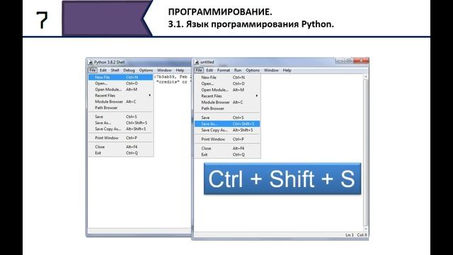 Язык программирования Python. 7 класс.