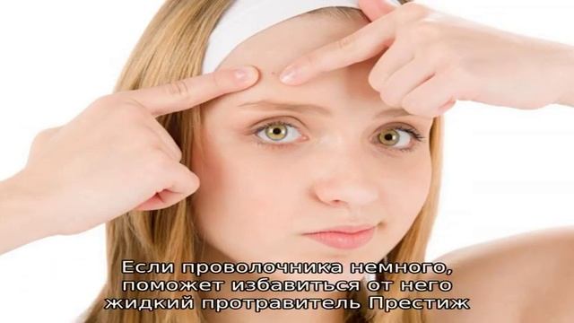 Как избавиться от проволочника: народные средства и химические