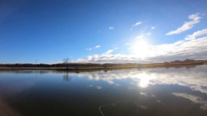 Пруд в Шапкино