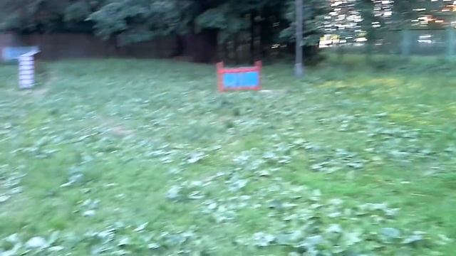 Учебная кинологическая площадка смотреть онлайн