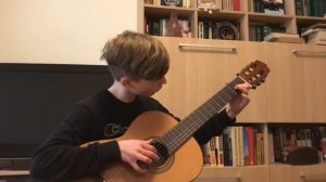 Розовый слон на гитаре О.Киселёв