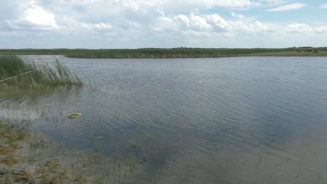 СУПЕР КЛЁВ. Рыбалка в Казахстане Тараз