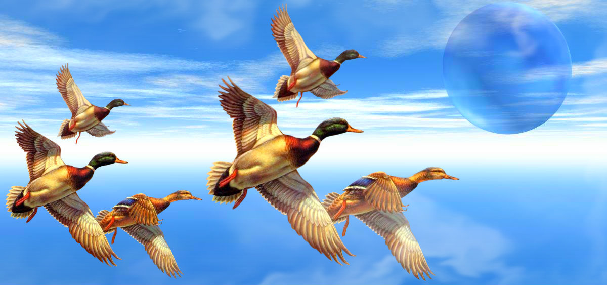 Вечерняя охота на утку! Манок работает-утки падают! Охота 2021! смотреть онлайн