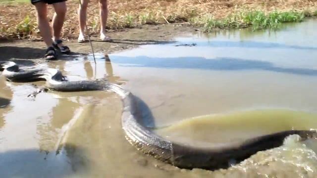 venezuela, Los LLanos Part 1 смотреть онлайн