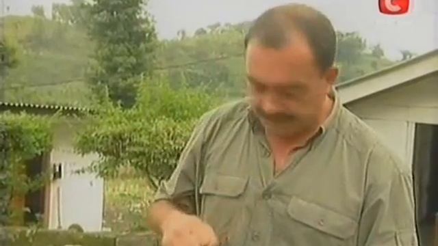 Вокруг Света   Индонезия