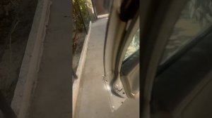 Отзыв реального владельца Тойота Камри 40/ Toyota Camry 40
