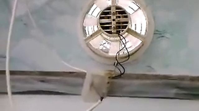 Помидоры Торбей розовый и автоматика в рассаднике смотреть онлайн