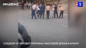 Следком установит причины массовой драки в Крыму