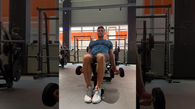 Подъем гантелей на бицепс сидя с медленным опусканием 16кг *8 смотреть онлайн