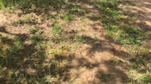 Антон люто срет под фонк