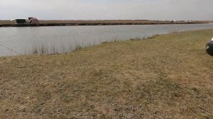 Огромные Караси гнут удочку и отрывают крючки | Рыбалка в камыше