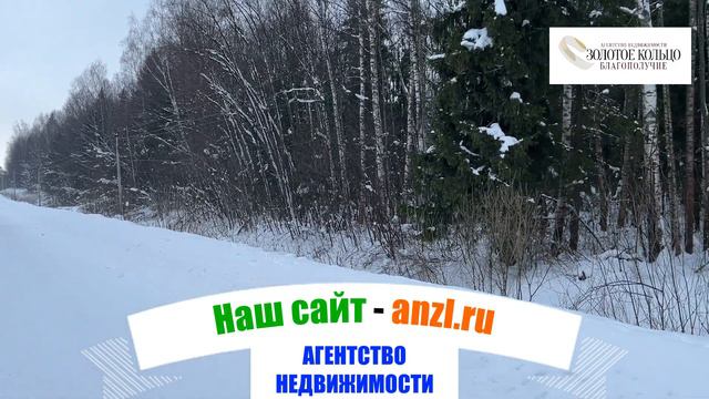 Дорога в сопровождении смешанного леса между деревнями Гидеево и Перематкино, Александровский район