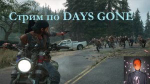 Days Gone Проходим на стриме